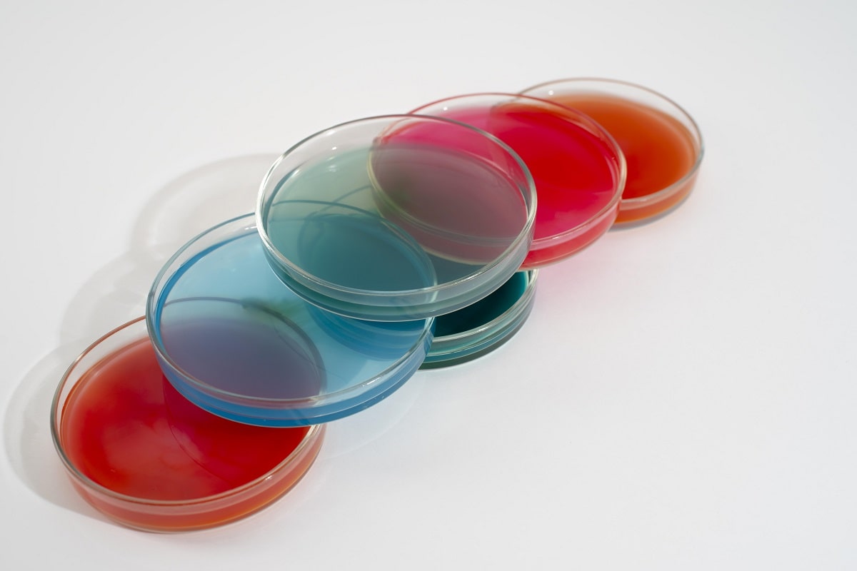 محیط کشت EMB agar