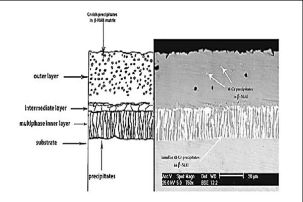 تصویر میکروسکوپ الکترونی روبشی (SEM)از سطح مقطع پوشش کروم-آلومیناید اعمالی بر روی سوپر آلیاژ پایه نیکلIN738LC