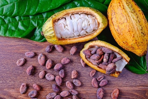 فروش عمده پودر کاکائو