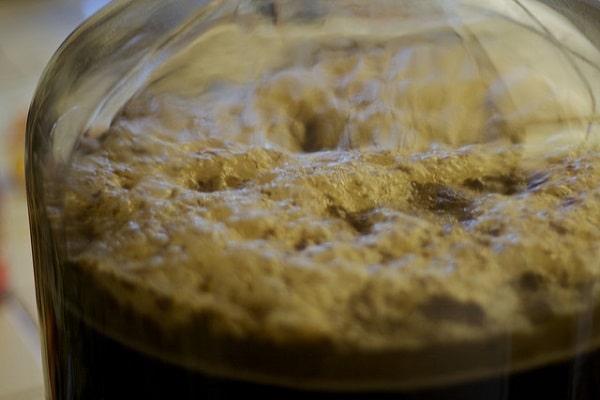 از کجا مخمر تهیه کنیم؟