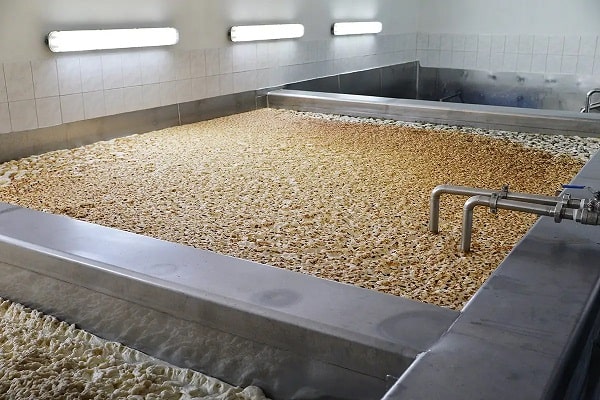 خرید مخمر آبجو